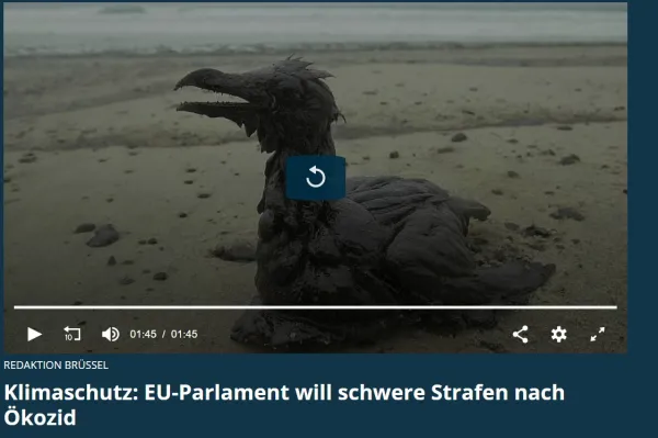 Webaufnahme_26-5-2021_174251_de.euronews.com